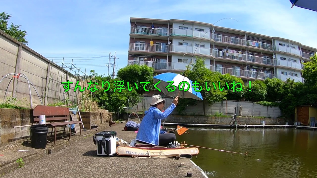 紀州和竿 先代山彦の竿でヘラブナを釣ってきた - YouTube