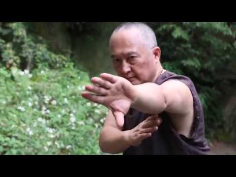 八卦拳傳人-何靜寒- YouTube