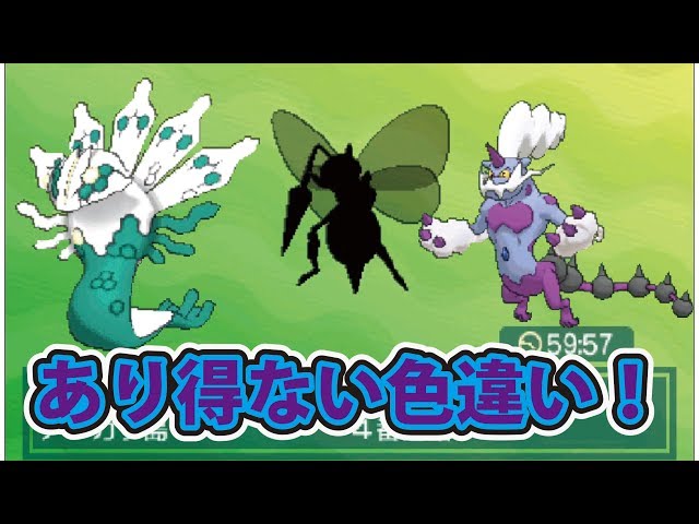 ポケモンウルトラサン・ムーン裏ワザ級QRコード読み込み！色違い