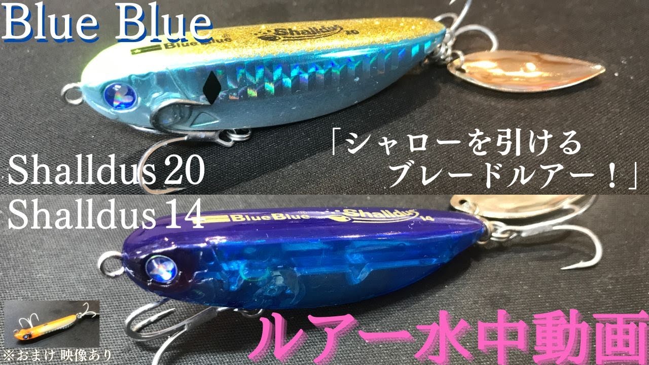シャルダス 20 / 14 】水中映像 「Blue Blue Shalldus 20 / 14