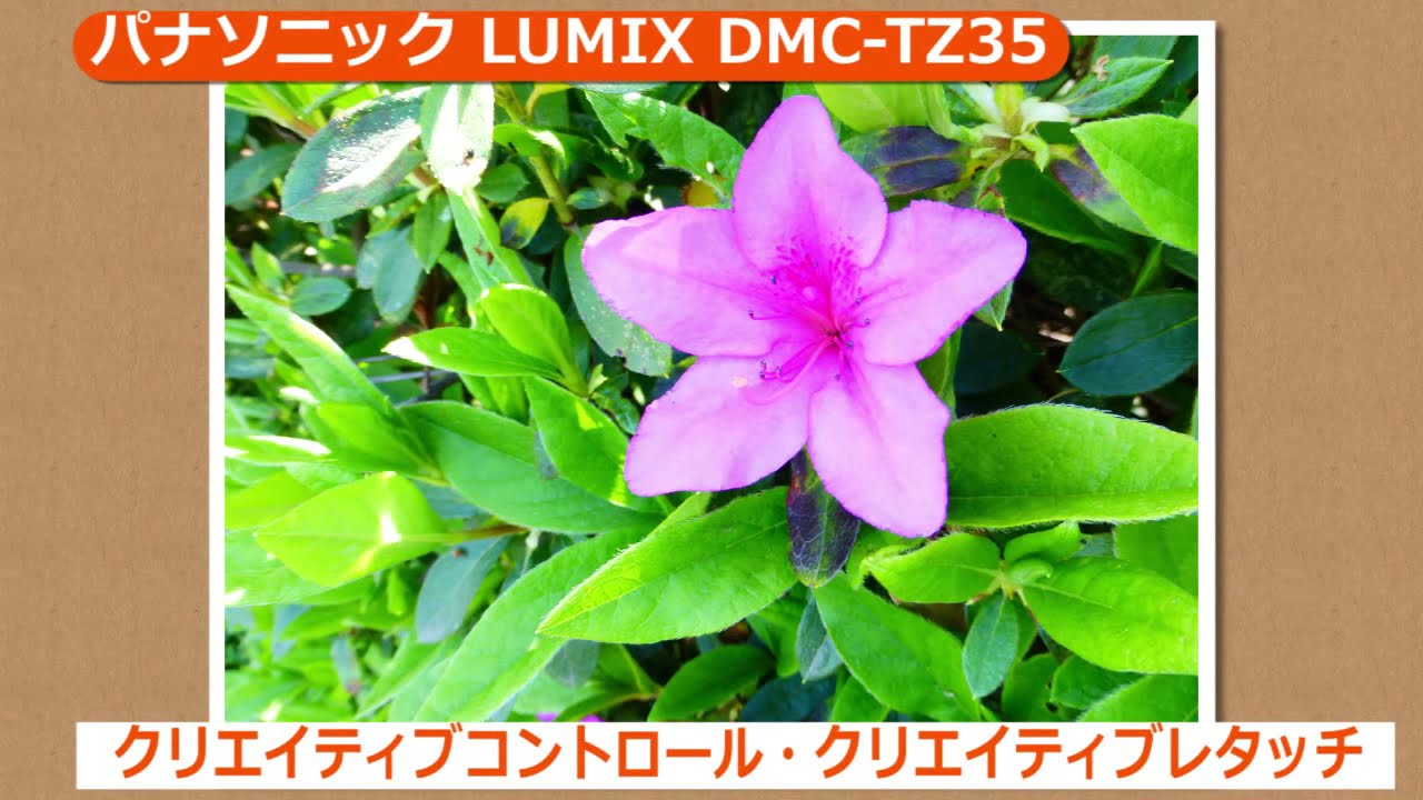 パナソニック LUMIX DMC-TZ35(カメラのキタムラ動画_Panasonic) - YouTube