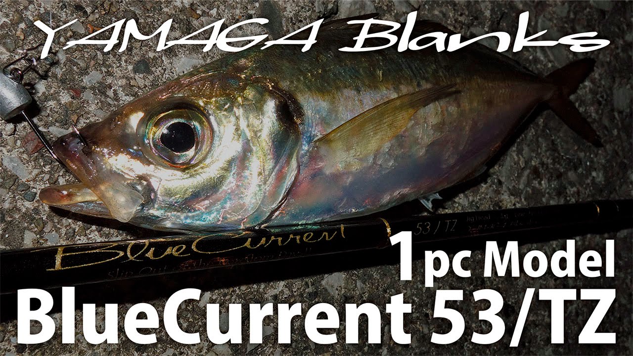 New model BlueCurrent 53/TZ fishing video!! - YouTube