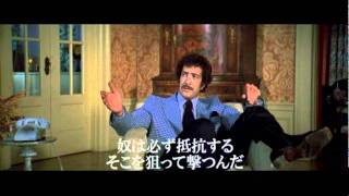 allcinema SELECTION DVD『ゼブラ軍団』