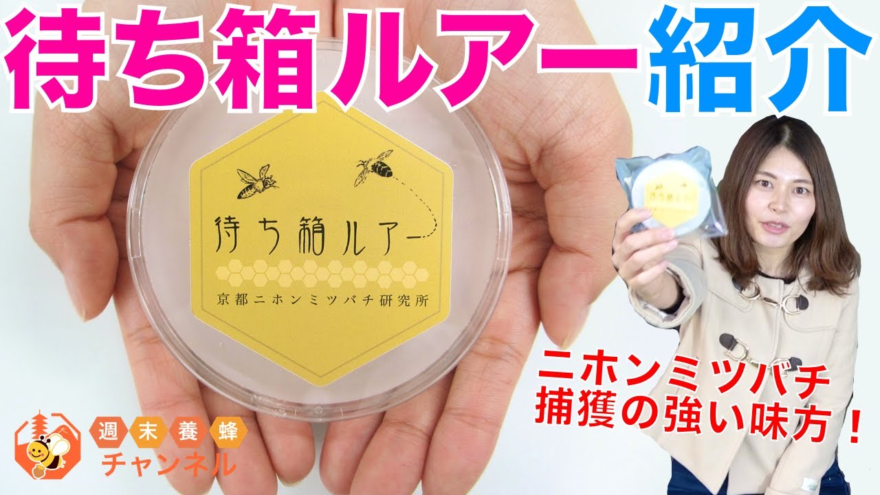 A powerful tool for catching Japanese honeybees! [Introduction to