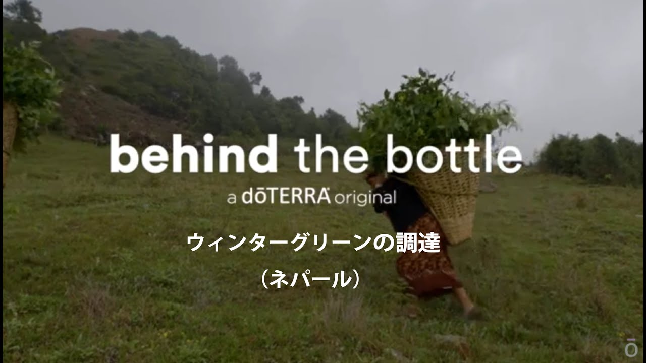ウィンターグリーン - doTERRA TIMES