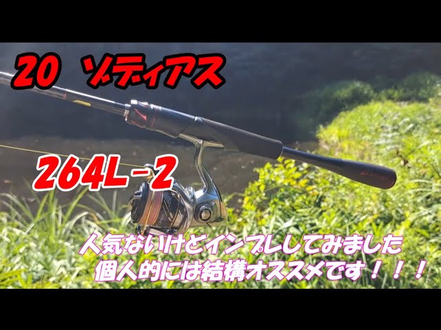 20ゾディアス 264L-2 インプレ ノーシンカーワームなど、ライトルアー