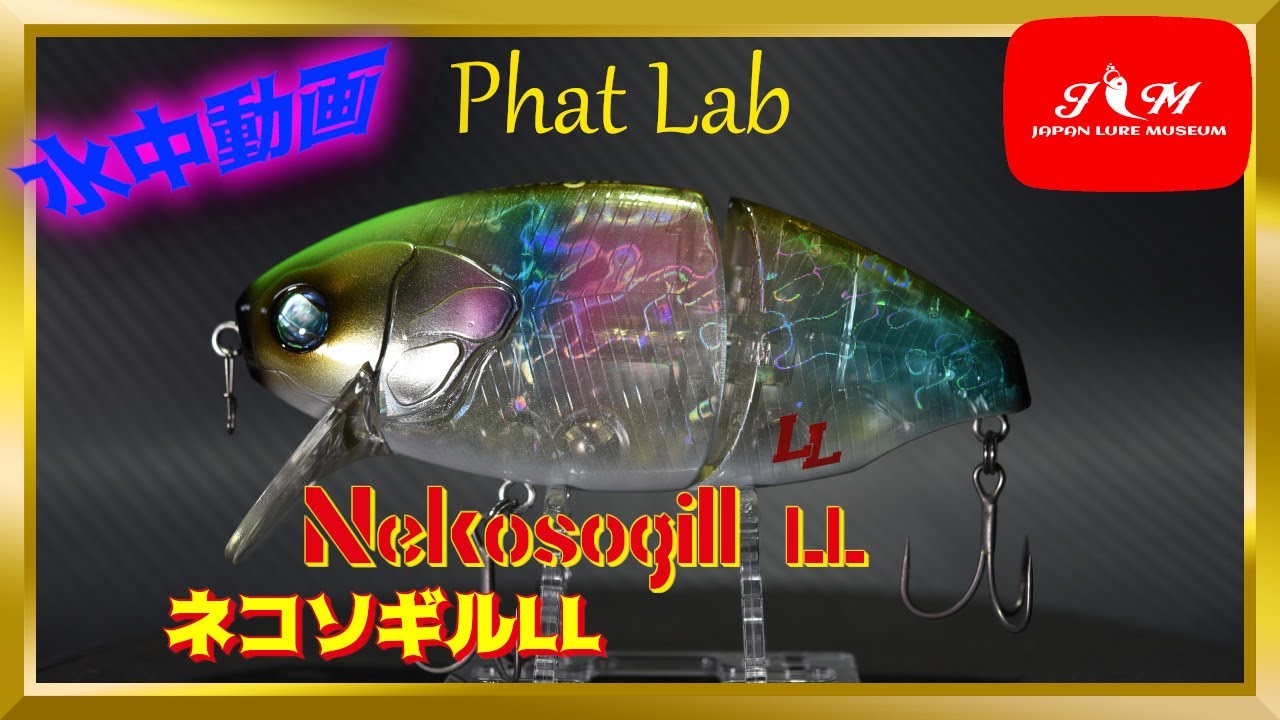 水中動画】【NEKOSOGILL LL】次の異一手にネコソギル ファットラボ