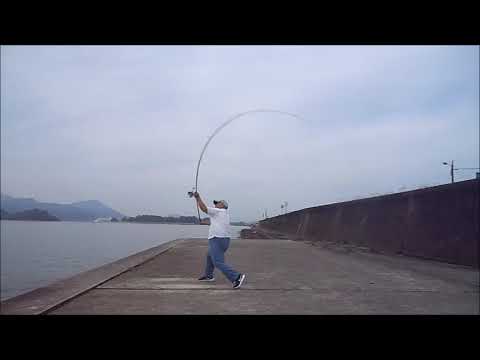 ダイワ 21 プライムキャスター 33 405 インプレッション 20210606