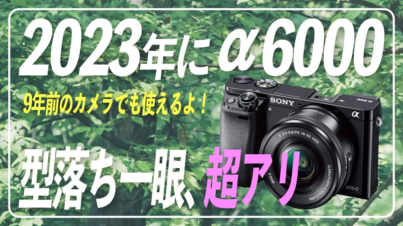 SONY α6000] For those who are thinking of buying a used Sony α6000