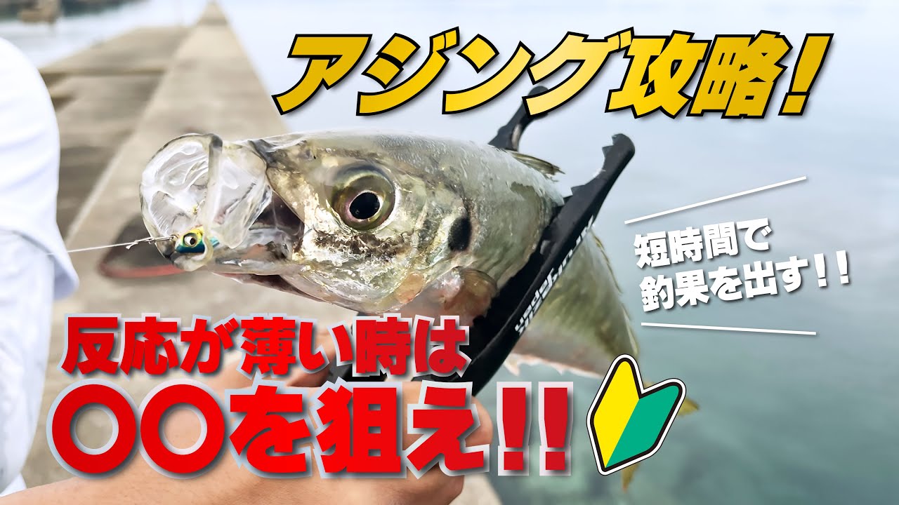 魚子メタル貫き | RUDIE'S （ルーディーズ）