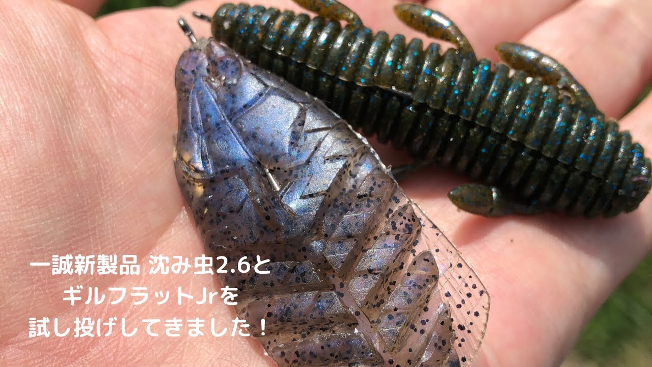 一誠 新作の沈み蟲2.6とギルフラットJrを試し投げに行ってきました