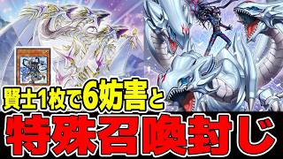 遊戯王デッキ紹介】『青眼』デッキ「賢士1枚で制圧展開ルート解説