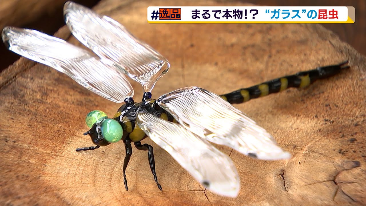 逸品 まるで本物！？ ガラスの昆虫 - YouTube