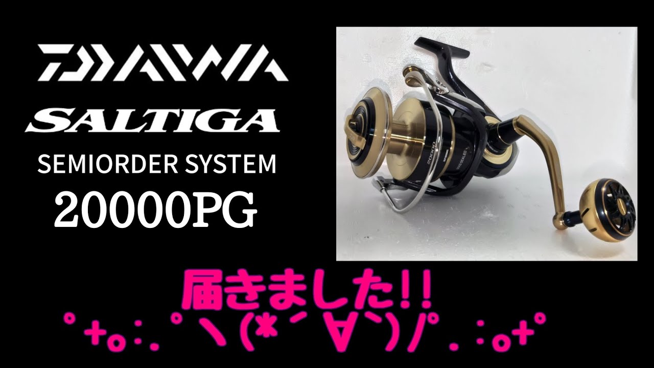 ソルティガセミオーダーシステム、20000PG届きました！！ - YouTube