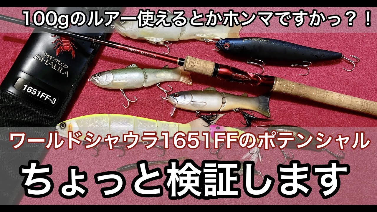 検証】ワールドシャウラ1651FF 3のポテンシャルを検証します！！ - YouTube