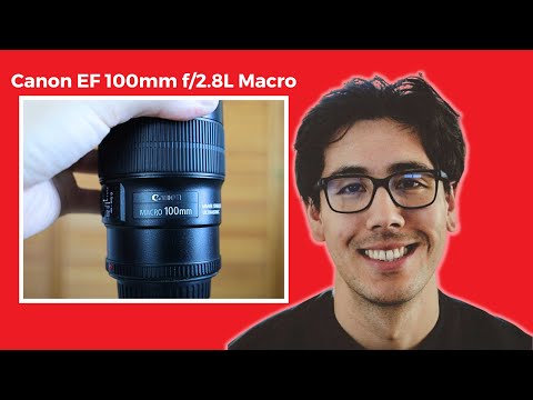 Canon EF 100mm f/2.8L IS Macro Review - The Macro King? - YouTube