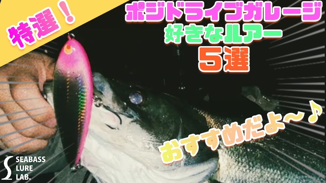 水中映像】ポジドライブガレージのおすすめルアーを5つ厳選してみた