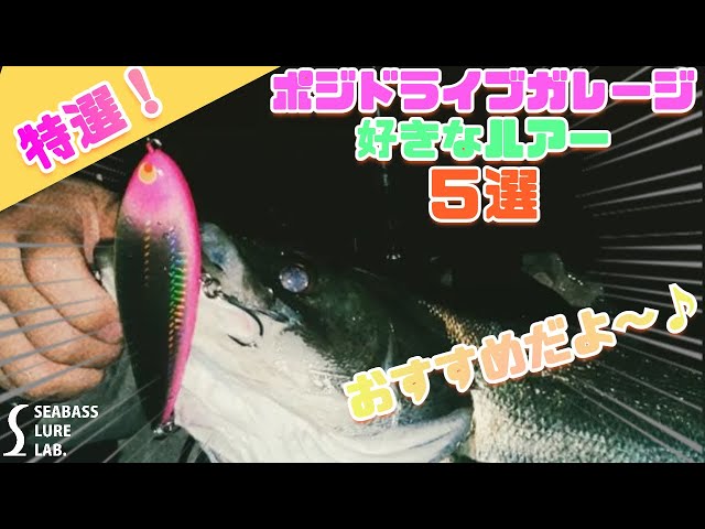 水中映像】ポジドライブガレージのおすすめルアーを5つ厳選してみた