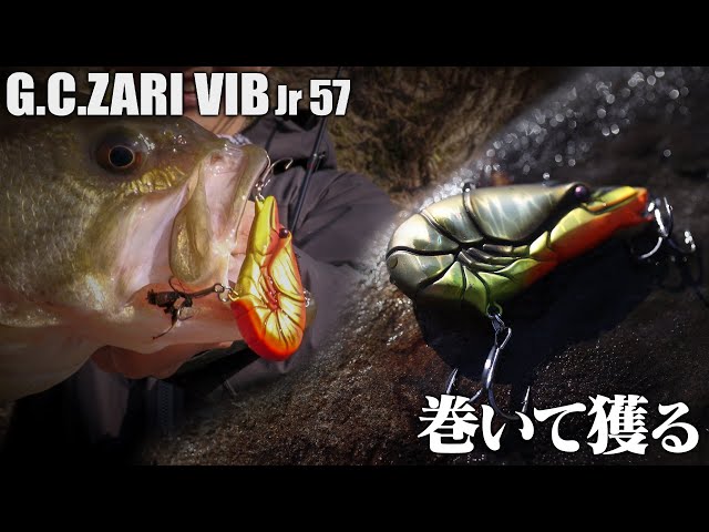 Bass Fishing] Precision is the Key to Vibe Fishing in the Coldest