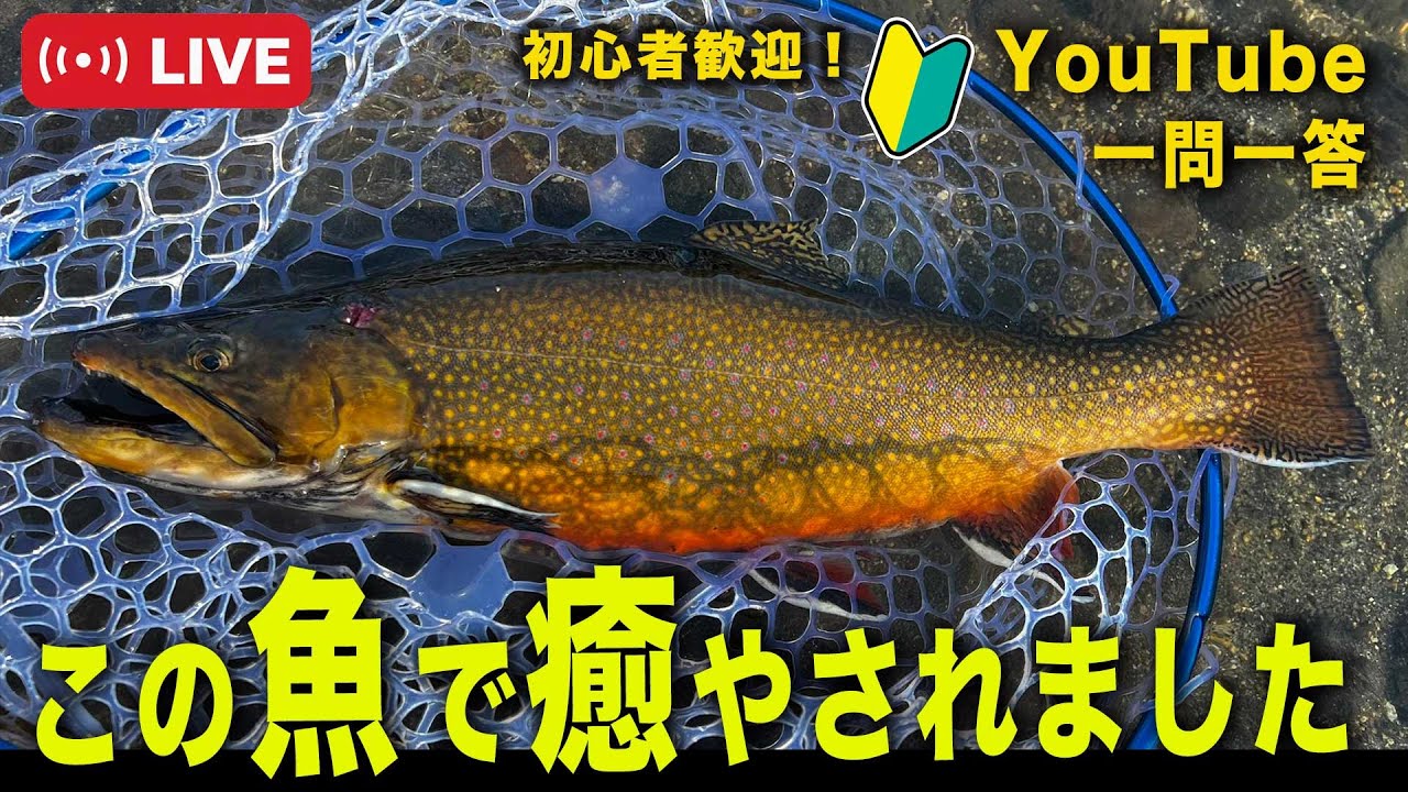 うつくぴー！一匹！＠村田基 #釣り #ウォーターランド #ルアー - YouTube