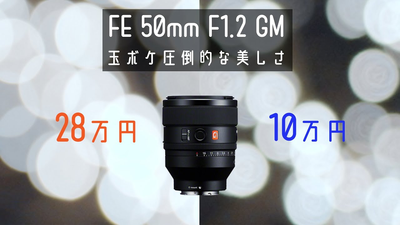 FE 50mm F1.2 GM 他のレンズと比較すると玉ボケの美しさがわかりました