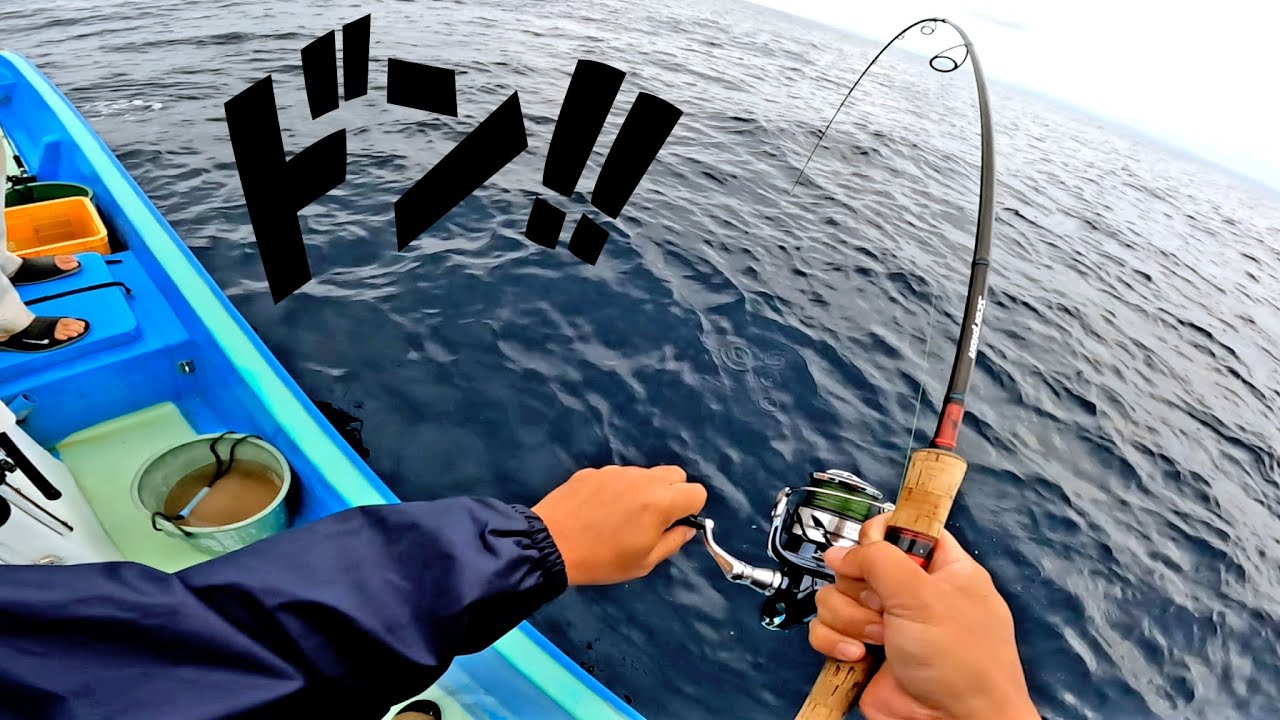 A big fish was hiding at a depth of 50m - YouTube