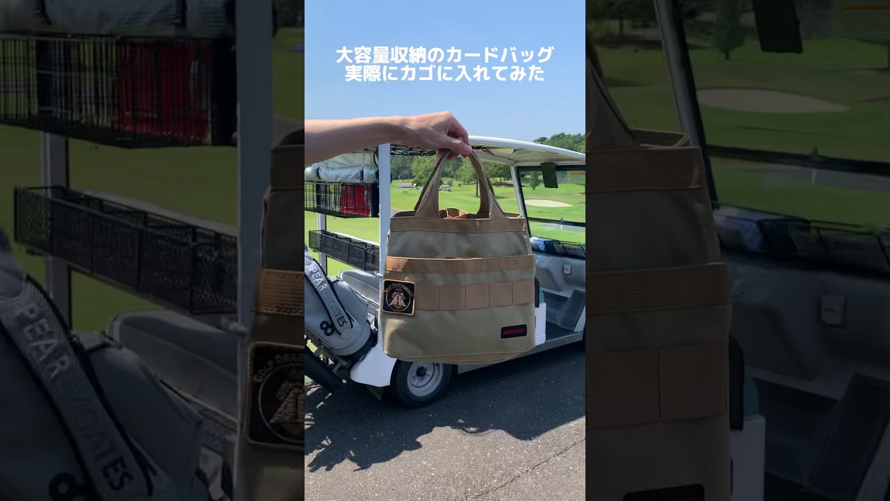 GO/LOOK!（ゴルック）｜【GO/LOOK!限定】ギア猿×BRIEFING “シン