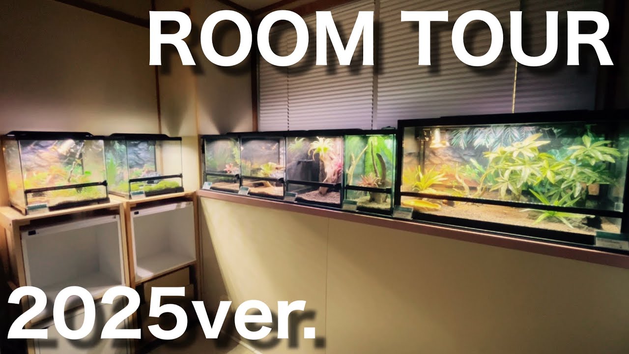 DEZERT 「変」「飼育部屋」 DEZERT 「変」「飼育部屋」 DEZERT 「変