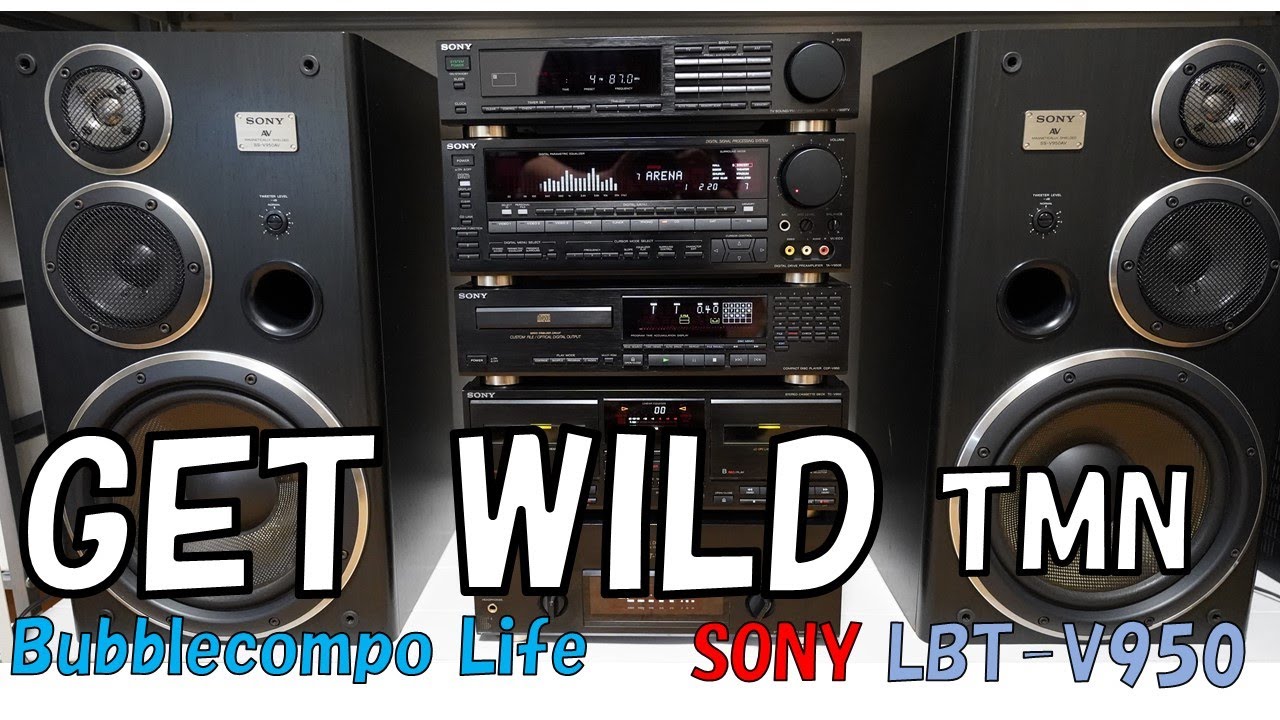 バブコン SONY Liberty LBT-V950 「GET WILD」「TMN」 てっぺん