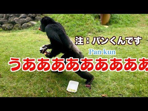 パンくん宮沢さんTV - YouTube