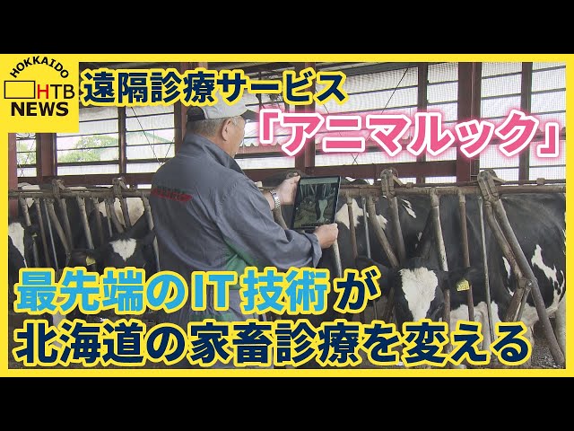 人手不足や移動負担の解消に 遠隔診療サービス「アニマルック」最先端