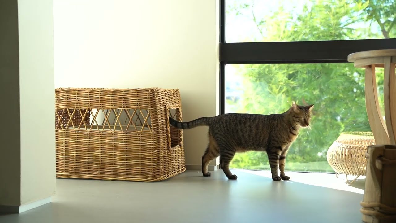 オルネコ×Encachette アラログトイレカバー｜オルネコ（爪とぎ・トイレ