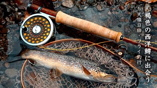 Casket カスケット｜トラウト、バス、ソルトルアー専門店｜通販可能｜