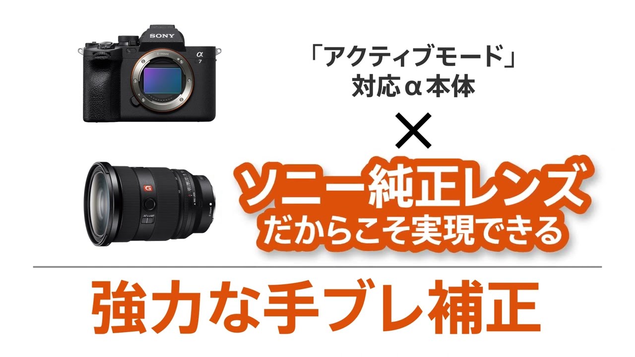 ヨドバシ.com - ソニー SONY SEL1018 E 10-18mm F4 OSS [広角ズーム