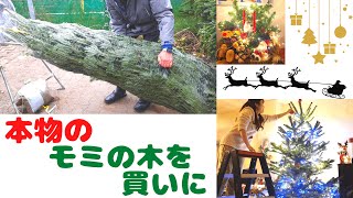 本物のモミの木を購入!｜We bought a real fir tree!! - YouTube