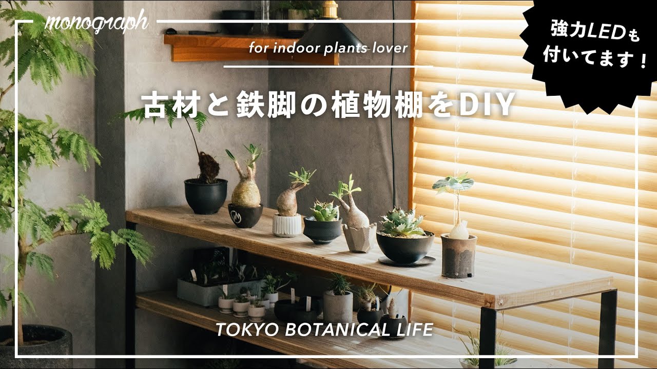 TOKYO BOTANICAL LIFE - vol.2 DIY LED plant rack using old wood and