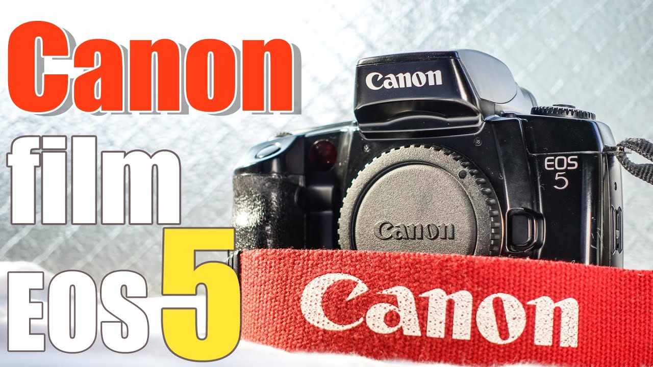 フィルムカメラ】canon EOS5は癖のない誰にでもおすすめできるcanon機
