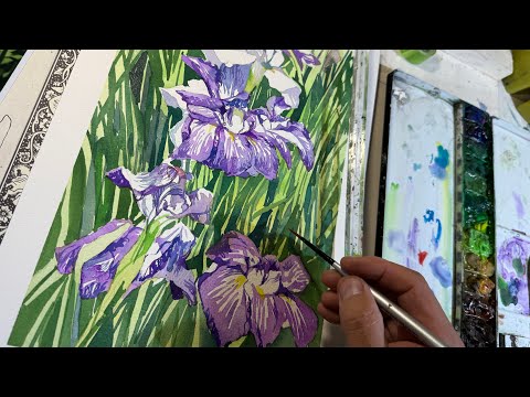 378【初心者向け】音が治るまで頑張るぞ。菖蒲を描く配信！ - YouTube