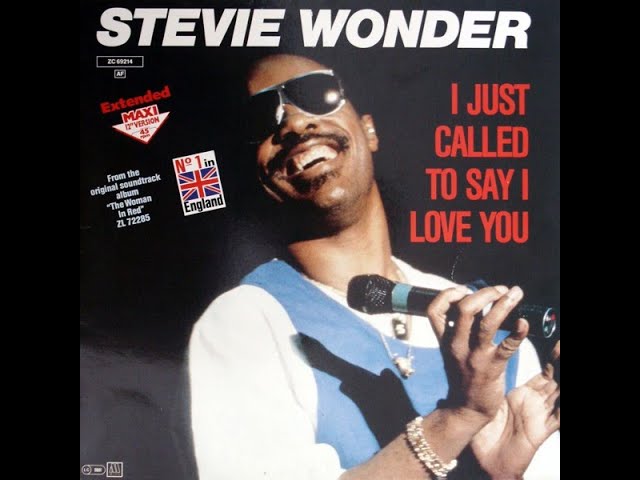 Stevie Wonder スティーヴィー・ワンダー I Just Called To Say I Love