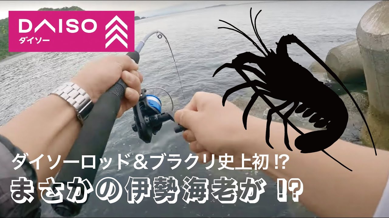 穴釣り】 100均ダイソー1000円ロッド＆ダイソー100円ブラクリで穴釣り