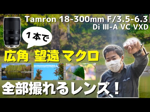 タムロンの最新超高倍率万能レンズで撮ってみた！写りもいいし、1本で
