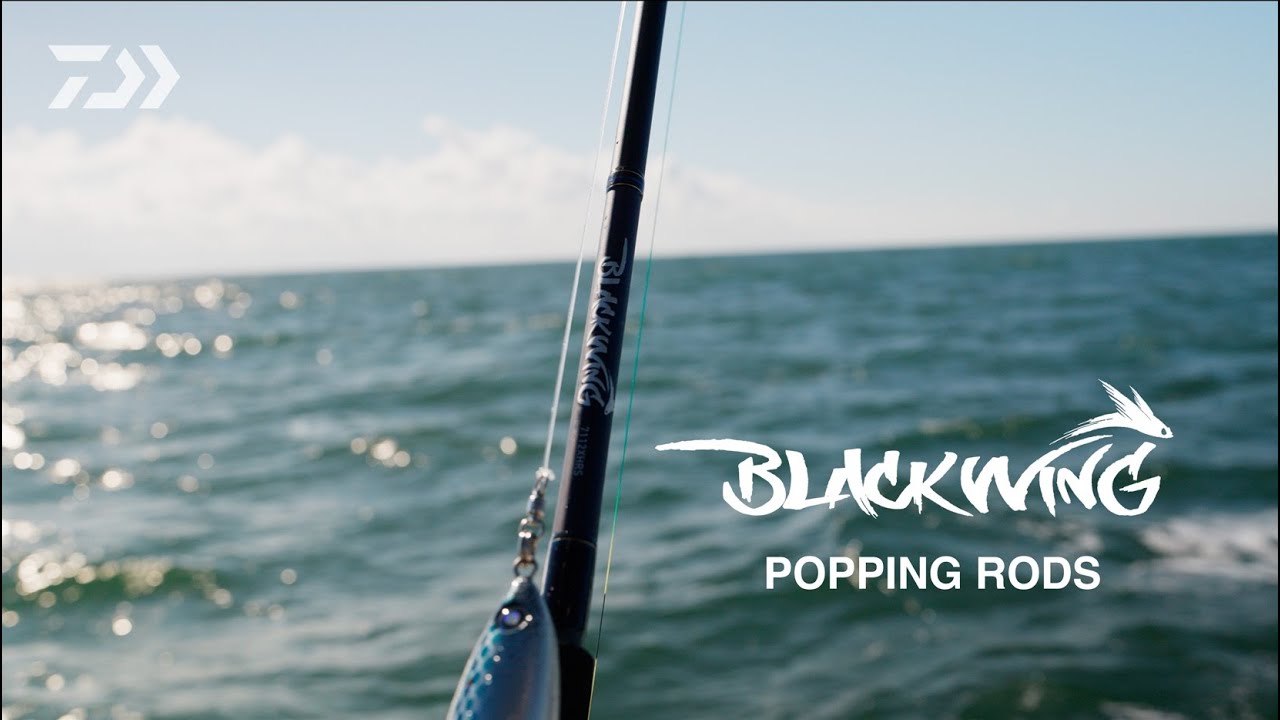 BLACKWING RODS – Daiwa US