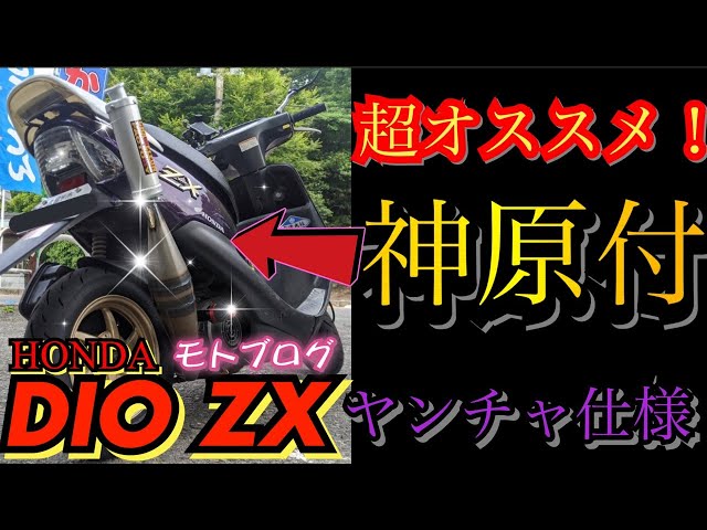 Highly recommended [DIO ZX] The naughty version was too godly lol