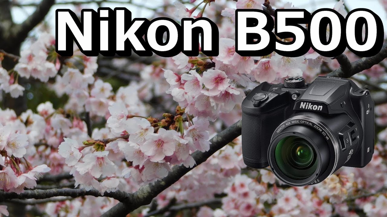 Nikon COOLPIX B500で桜サクラ撮影【おすすめデジカメニコン