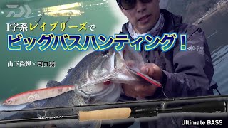 ダイワ ブレイゾン C64L-2・BF 2021モデル (ベイト2ピース)【即日発送