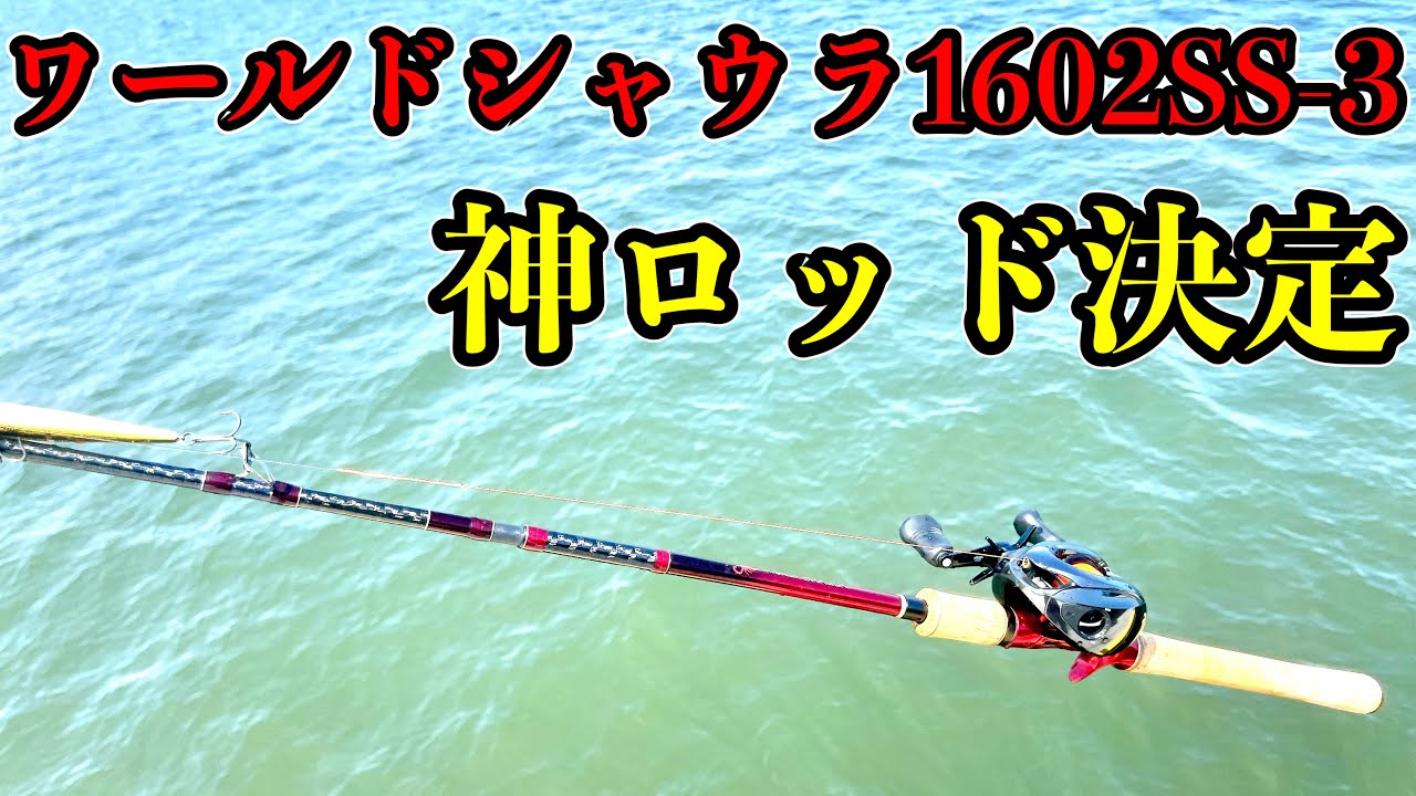 新しく購入したワールドシャウラ1602SS-3は神ロッドに決定しました