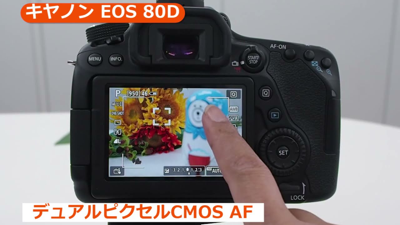 キヤノン EOS 80D ボディ | デジタル一眼レフ