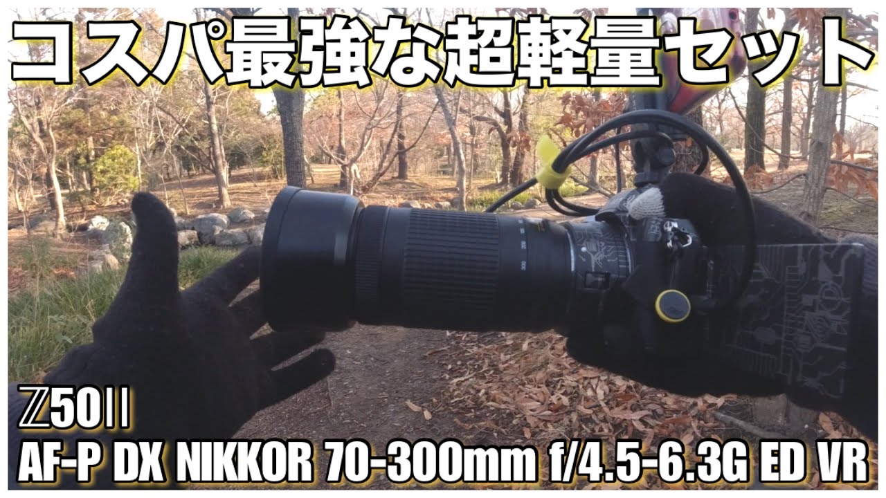 野鳥撮影】コスパ最強レンズとコスパ最強ボディで朝練探鳥 - AF-P DX