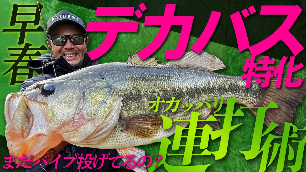 新品RAID JAPAN Lバス釣り BOX LOGO パーカーASH 金森隆志 金森隆志