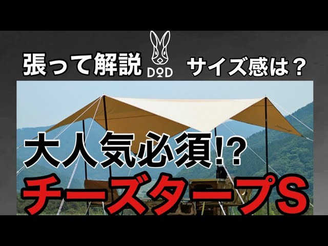 DOD/A must-have for the most popular item!] Cheese Tarp S